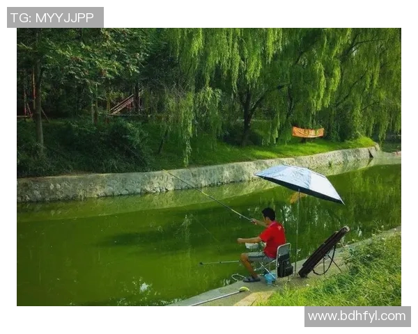 全面解析十一选五走势图助你精准把握选号趋势与技巧